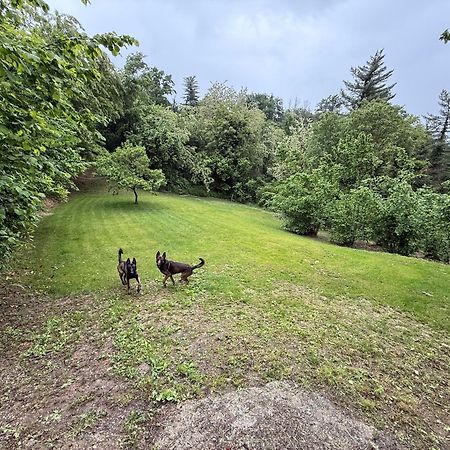 Bnb Dog And Friend Rocchetta Tanaro Dış mekan fotoğraf